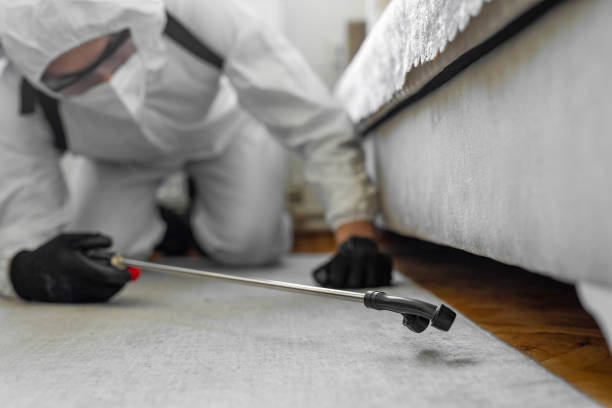 Professional Bed Bug Control technician working in Peppermill Village, MD