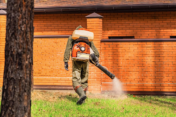 Trusted Bed Bug Control service in Peppermill Village, MD - Nex Pest Control